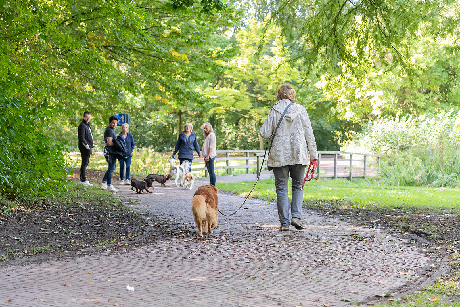Oud Beijerland 9442